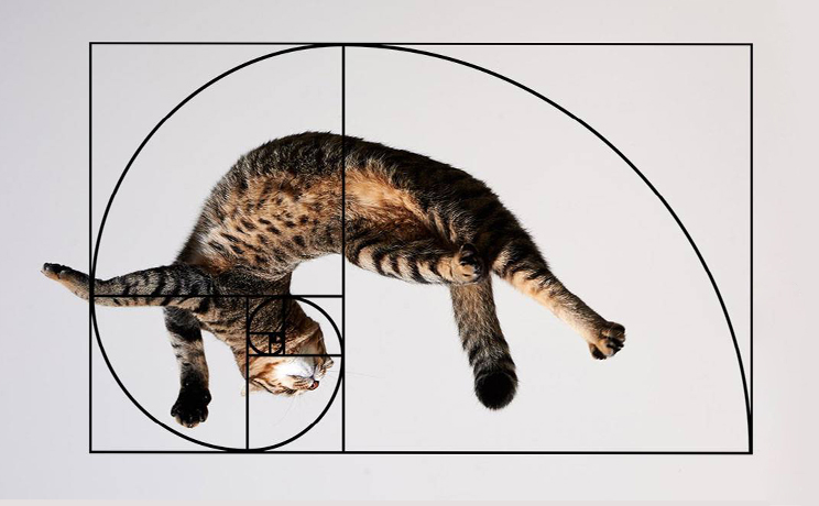 REGLAS DE COMPOSICIÓN fotográfica