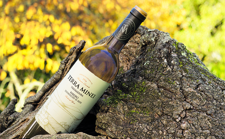fotografia de botella vino ribeiro galicia. fotografos en vigo